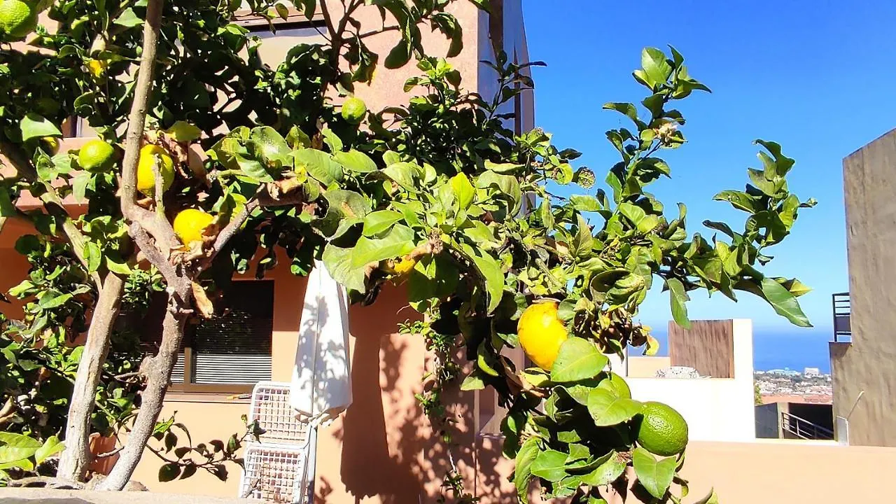 Casa Historia Hotell Puerto de la Cruz  Spanien